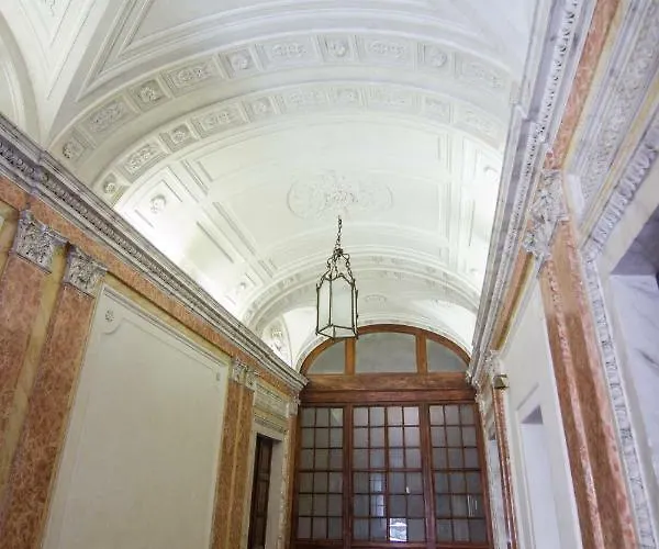 Rinidia Centro